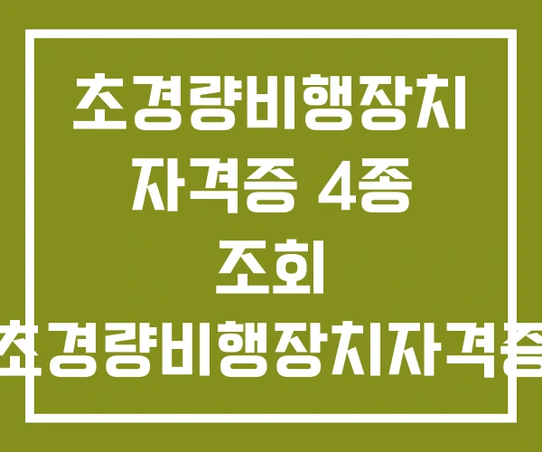 초경량비행장치 자격증 4종 조회 초경량비행장치자격증 초경량비행장치 자격증 4종 조회 초경량비행장치자격증
