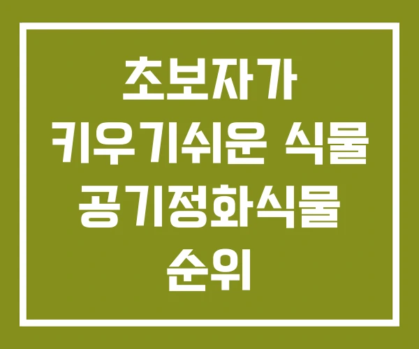 초보자가 키우기쉬운 식물 공기정화식물 순위