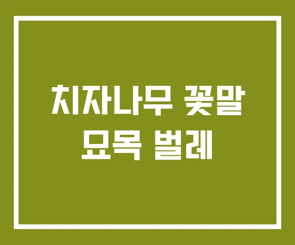 치자나무 꽃말 묘목 벌레