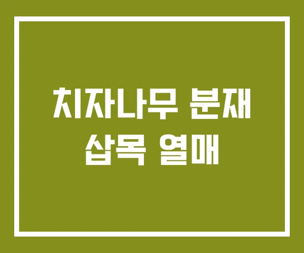 치자나무 분재 삽목 열매