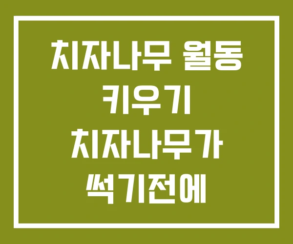 치자나무 월동 키우기 치자나무가 썩기전에