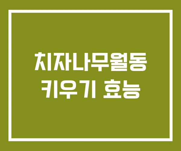 치자나무월동 키우기 효능