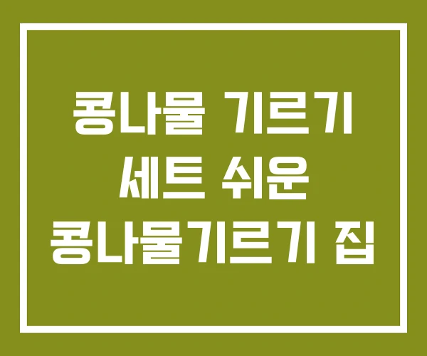 콩나물 기르기 세트 쉬운 콩나물기르기 집