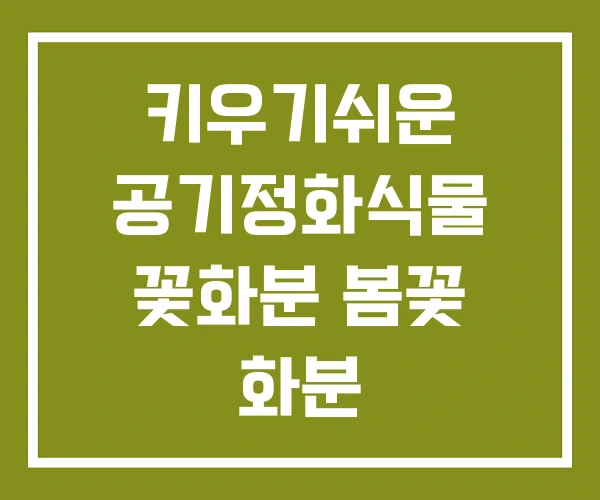 키우기쉬운 공기정화식물 꽃화분 봄꽃 화분