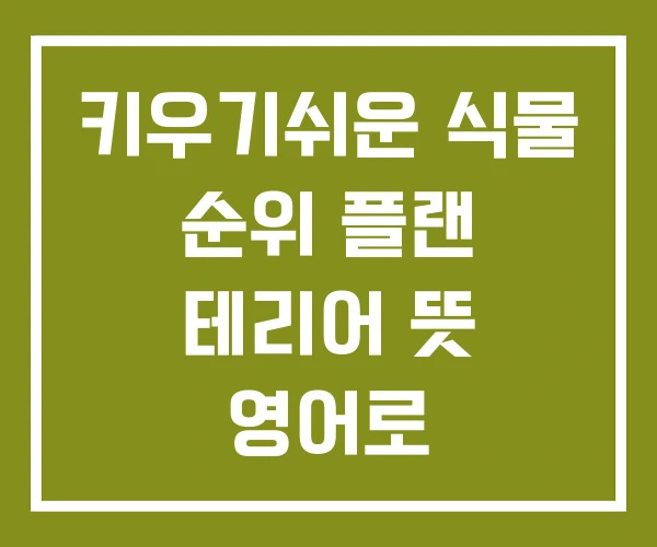 키우기쉬운 식물 순위 플랜 테리어 뜻 영어로
