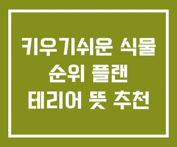 키우기쉬운 식물 순위 플랜 테리어 뜻 추천