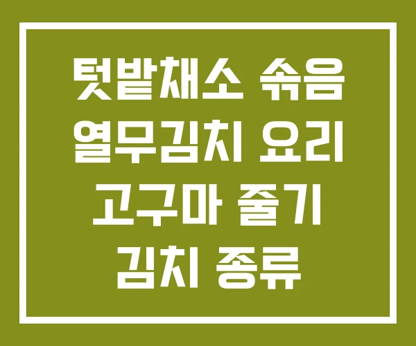 텃밭채소 솎음 열무김치 요리 고구마 줄기 김치 종류