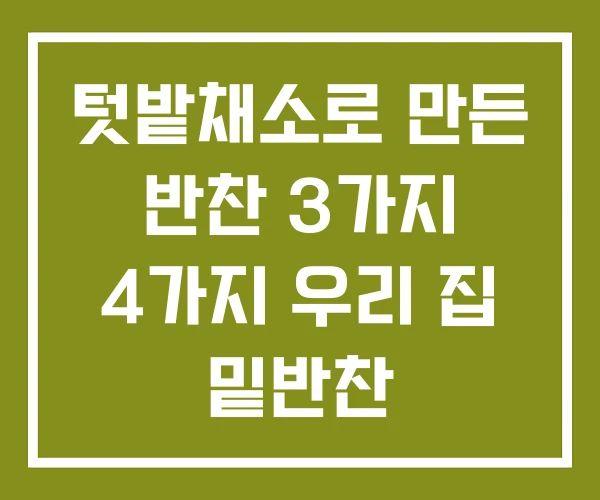 텃밭채소로 만든 반찬 3가지 4가지 우리 집 밑반찬 텃밭채소로 만든 반찬 3가지 4가지 우리 집 밑반찬