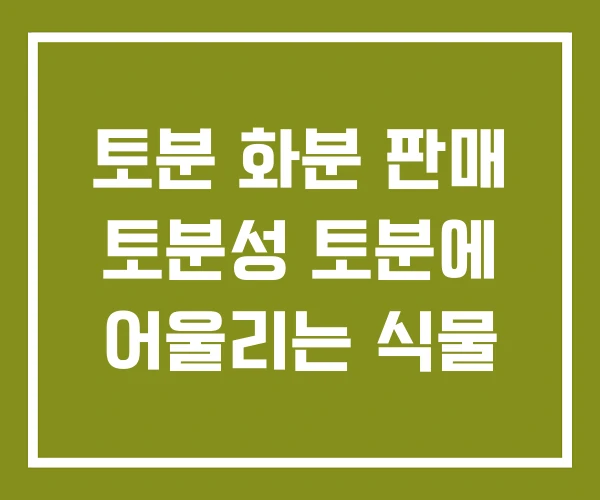 토분 화분 판매 토분성 토분에 어울리는 식물