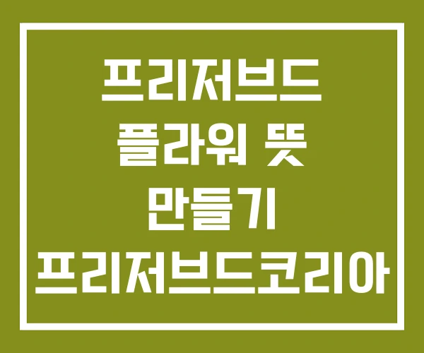 프리저브드 플라워 뜻 만들기 프리저브드코리아