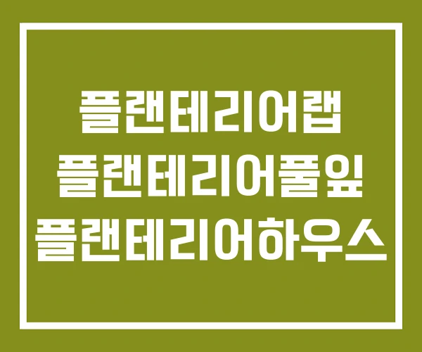 플랜테리어랩 플랜테리어풀잎 플랜테리어하우스