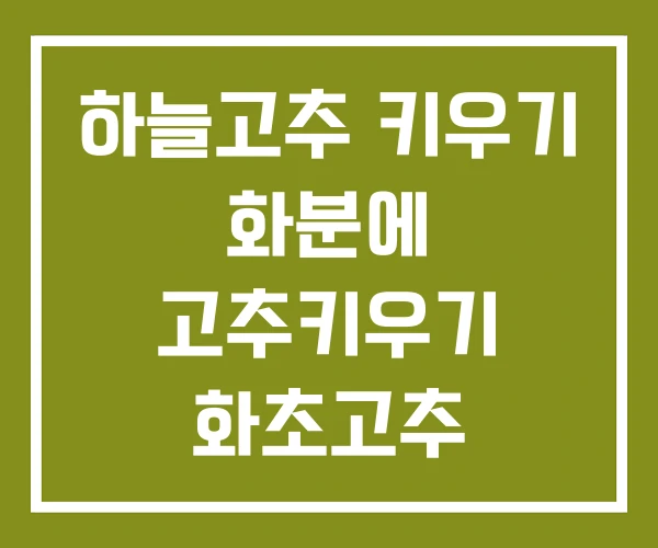 하늘고추 키우기 화분에 고추키우기 화초고추