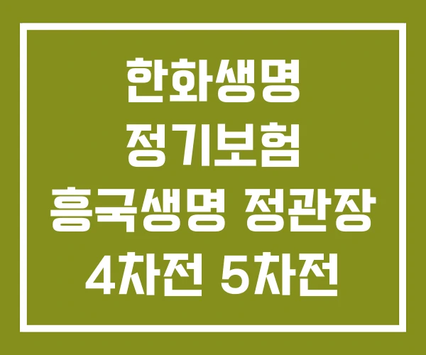 한화생명 정기보험 흥국생명 정관장 4차전 5차전