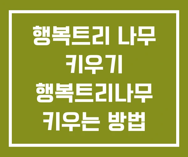 행복트리 나무 키우기 행복트리나무 키우는 방법