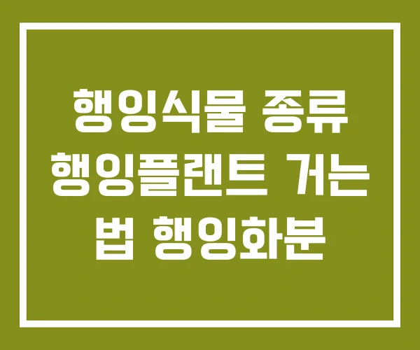 행잉식물 종류 행잉플랜트 거는 법 행잉화분 행잉식물 종류 행잉플랜트 거는 법 행잉화분