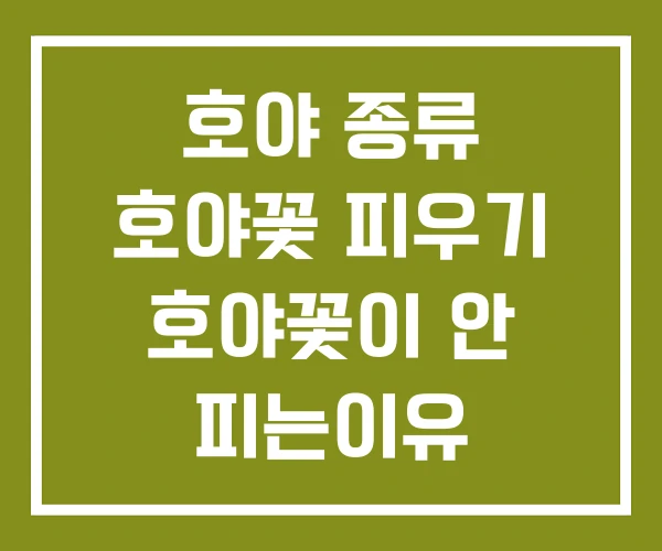 호야 종류 호야꽃 피우기 호야꽃이 안 피는이유