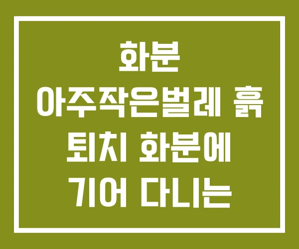 화분 아주작은벌레 흙 퇴치 화분에 기어 다니는