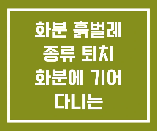 화분 흙벌레 종류 퇴치 화분에 기어 다니는