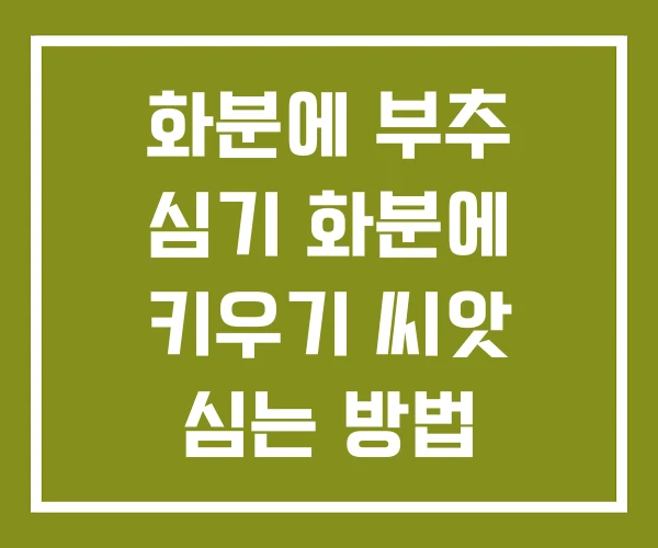 화분에 부추 심기 화분에 키우기 씨앗 심는 방법