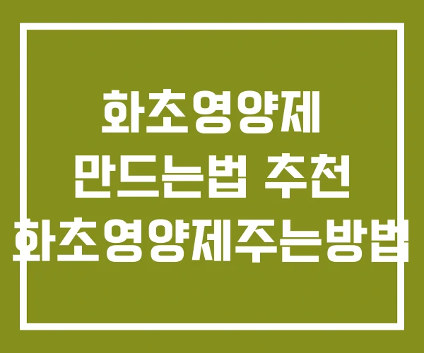 화초영양제 만드는법 추천 화초영양제주는방법 화초영양제 만드는법 추천 화초영양제주는방법