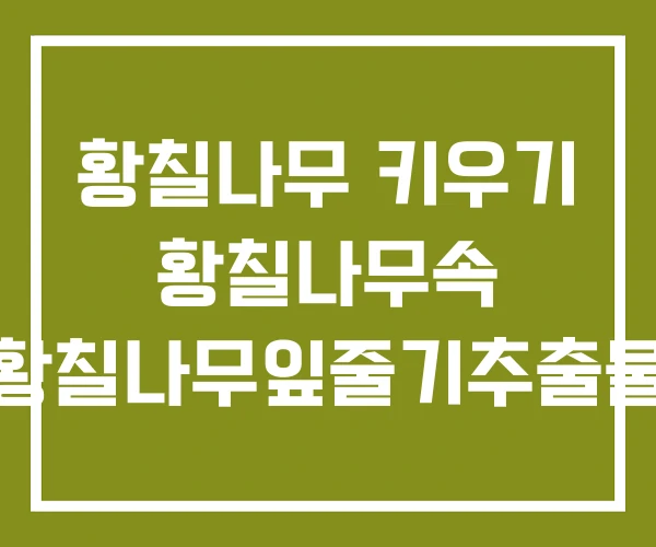 황칠나무 키우기 황칠나무속 황칠나무잎줄기추출물 황칠나무 키우기 황칠나무속 황칠나무잎줄기추출물