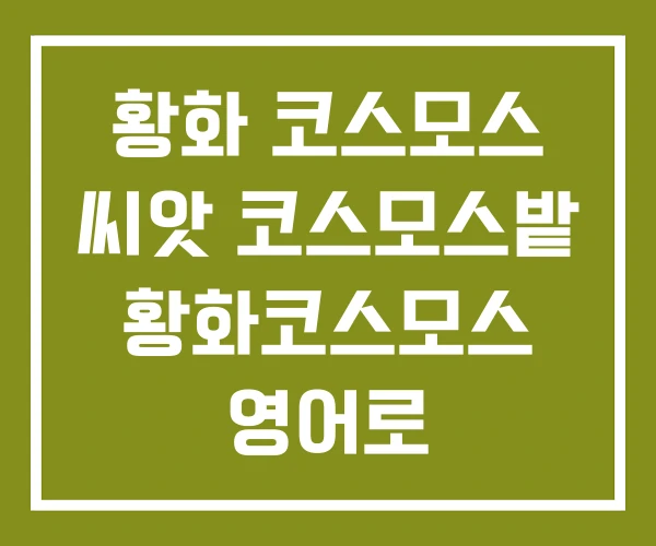 황화 코스모스 씨앗 코스모스밭 황화코스모스 영어로 황화 코스모스 씨앗 코스모스밭 황화코스모스 영어로