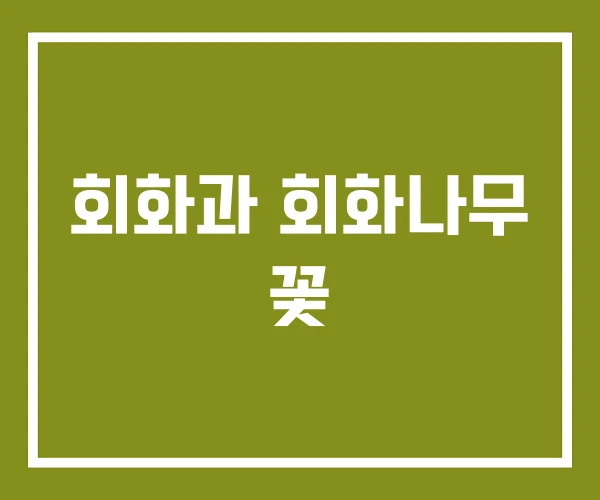 회화과 회화나무 꽃