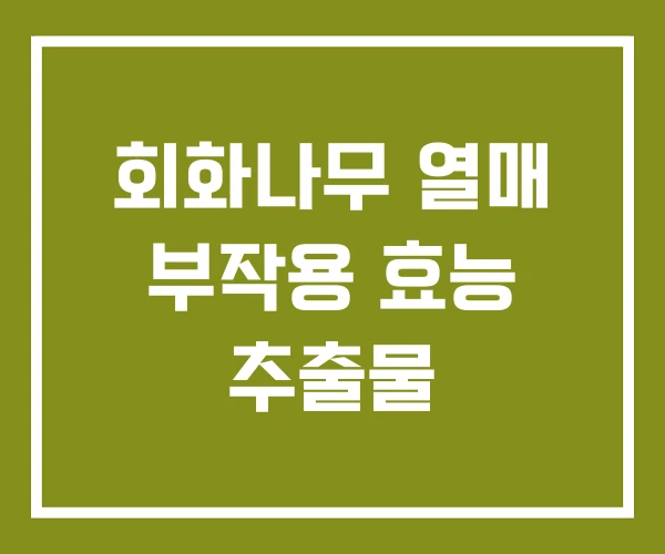회화나무 열매 부작용 효능 추출물